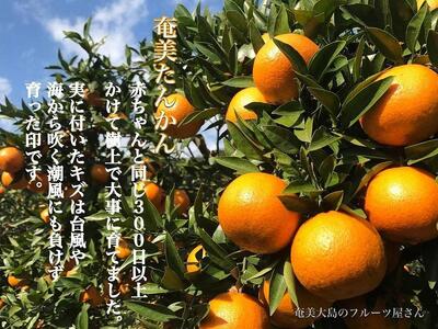 【2026年2月以降発送】奄美たんかん 約3kg化粧箱＜数量限定／先行予約＞