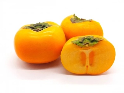 【令和6年産先行予約】 庄内柿 (L～4Lサイズ) 秀品 約5kg (25～31個) 山形県鶴岡市産　株式会社 元青果