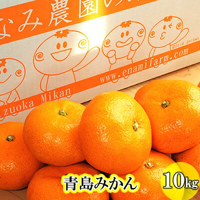 【ふるさと納税】フルーツ 静岡県浜松市産 10kg L～2Lサイズ 果物類 柑橘類 ミカン 完熟 高糖度 酸味 甘み バランス 草生栽培 【2025年12月下旬以降順次発送】えなみ農園の青島みかん 浜松市　お届け：2026年12月下旬～2027年2月中旬