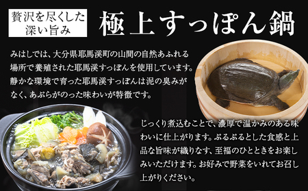 極上 すっぽん 鍋 セット （2～3人前） とらふぐ 活すっぽん料理鍋会席みはし《30日以内に出荷予定(土日祝除く)》