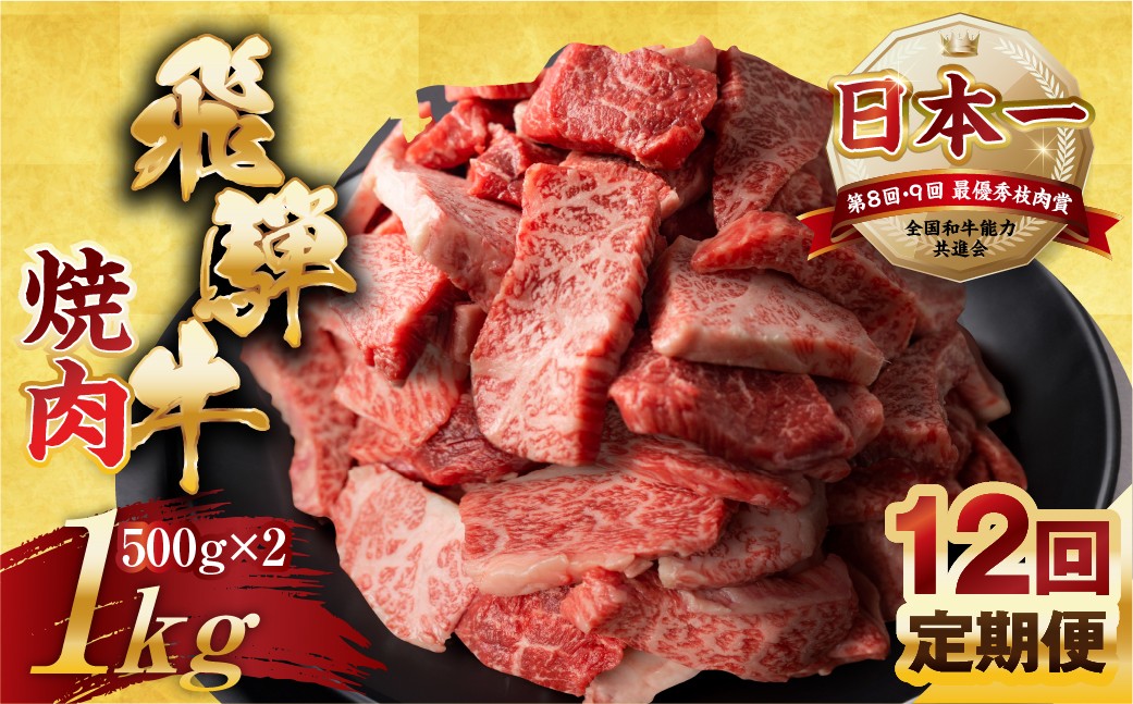 
                  【定期便】訳あり 飛騨牛 焼肉 切り落とし 500g × 2 計 1kg 12回お届け定期便 | 牛肉 肉 切落し わけあり ぎゅうにく にく ひだぎゅう ひだうし 訳あり 商品 ワケアリ 不揃い 小分け 切り落とし きりおとし 小分け 冷凍 本巣市 トキノ屋 食品 訳有 焼肉セット 焼肉用
                