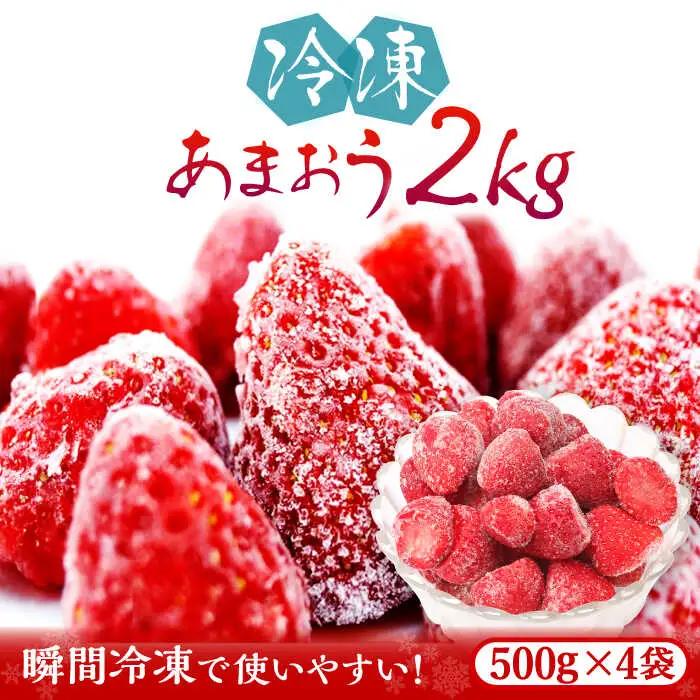 いちご あまおう 約 500g × 4袋 [ABDG007] 果物 あまおう