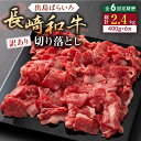 【ふるさと納税】【全6回定期便】【訳あり】長崎和牛 出島ばらいろ 肩ロース バラ 切り落とし 計2.4kg（400g×6回）【合同会社肉のマルシン】[QBN030]