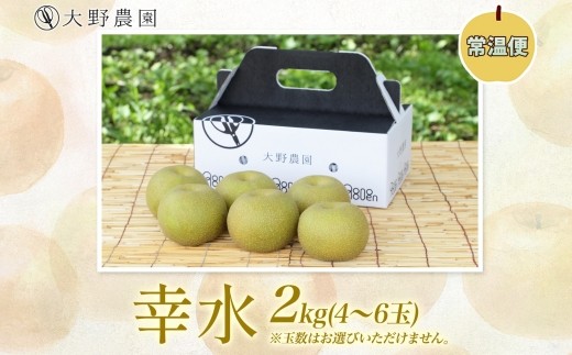 梨2kg 幸水 4～6玉