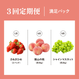 【定期便3回】 満足パック フルーツ 果物 定期便