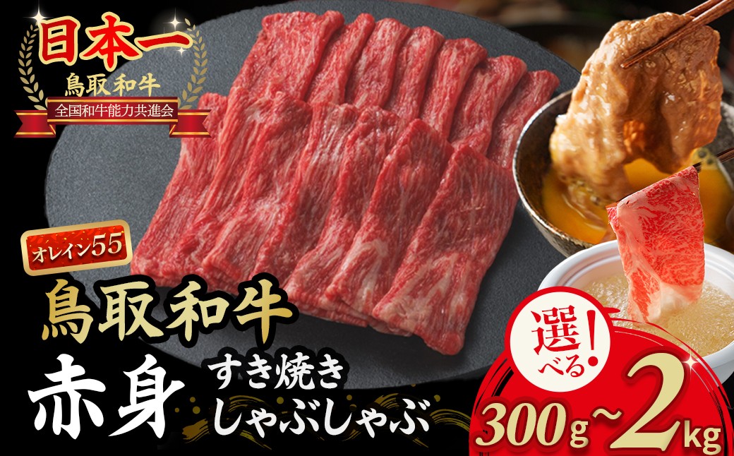 
            鳥取和牛 最高級品質【オレイン55】 赤身 しゃぶしゃぶすき焼き用 (300g～2kg) 鳥取和牛 オレイン55 赤身 モモ ウデ しゃぶしゃぶ すき焼き 国産 牛肉 ブランド牛 和牛 黒毛和牛
          