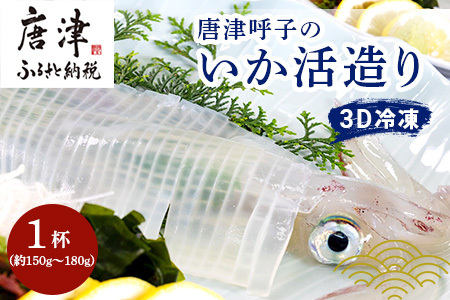 『先行予約』唐津呼子産いか活造り 1杯(約150g～180g)  急速冷凍 新鮮そのまま食卓へ！※水揚げあり次第7月以降順次発送させていただきます。