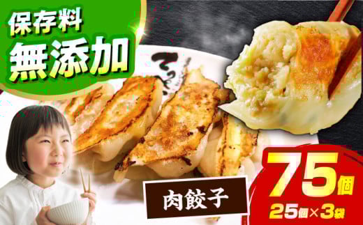 【選べる種類・容量】人気ラーメン店の本気「肉餃子」75個入り(25個×3パック)【保存料無添加】【メディアでも話題:石田てっぺいラーメン店】 餃子 ぎょうざ 惣菜 大容量 業務用 冷凍 国産 餃子 冷凍餃子 ぎょうざ 肉餃子 惣菜 おかず おつまみ 大容量 業務用 簡単 大阪府高槻市/無人屋 [AOCX011]