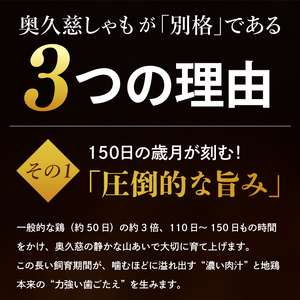 【5ヶ月定期便】奥久慈しゃも肉詰め合わせ・堪能セット（計1kg）（正肉スライス400g・唐揚げ用カット200g・ササミ400g）｜茨城県 大子町 奥久慈 袋田 奥久慈しゃも生産組合 地鶏 軍鶏 シャモ