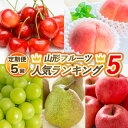 【ふるさと納税】【定期便5回】山形フルーツ人気ランキング5 【令和7年産先行予約】FS24-786