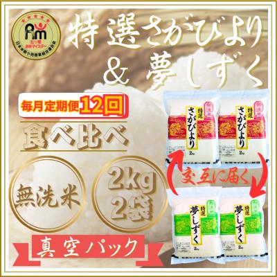 ふるさと納税 江北町 【毎月定期便】【無洗米】食べ比べ(さがびより・夢しずく)2kg×2袋(江北町)全12回