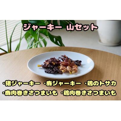 ふるさと納税 富田林市 【ふるさと納税限定セット】【わんちゃん用ペットフード】 WalkyHoliday ジャーキー山セット