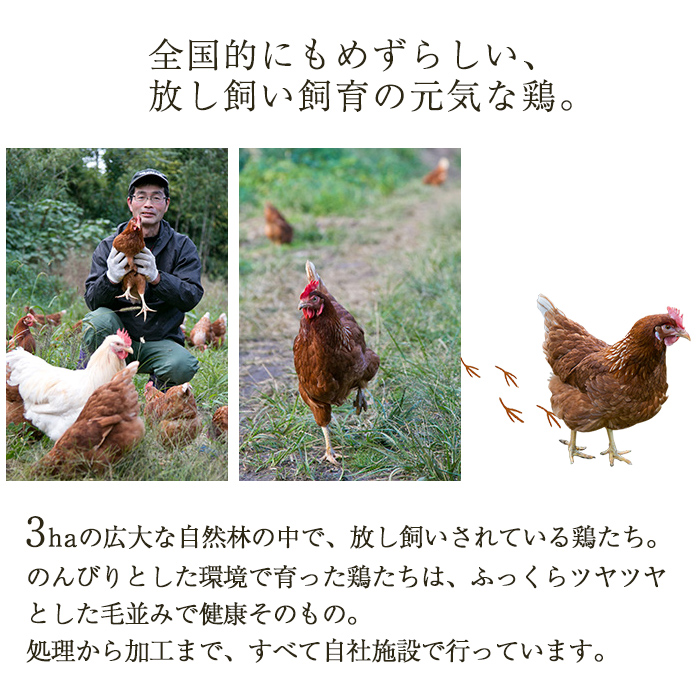 No.783 美山の有精卵でつくるだし巻き卵(380g×4本・計1520g)【美山たまご王国】
