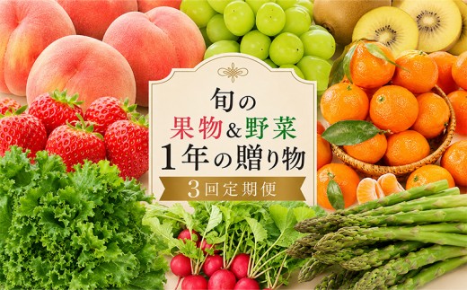 
                  定期便 3回 シャインマスカット 桃 アスパラ ぶどう デコポン 野菜セット キウイ ゴールドキウイ みかん さぬきのめざめ アスパラガス 果物 野菜 フルーツ 旬 旬のフルーツ 贈答用 ギフト プレゼント 香川県 丸亀市
                
