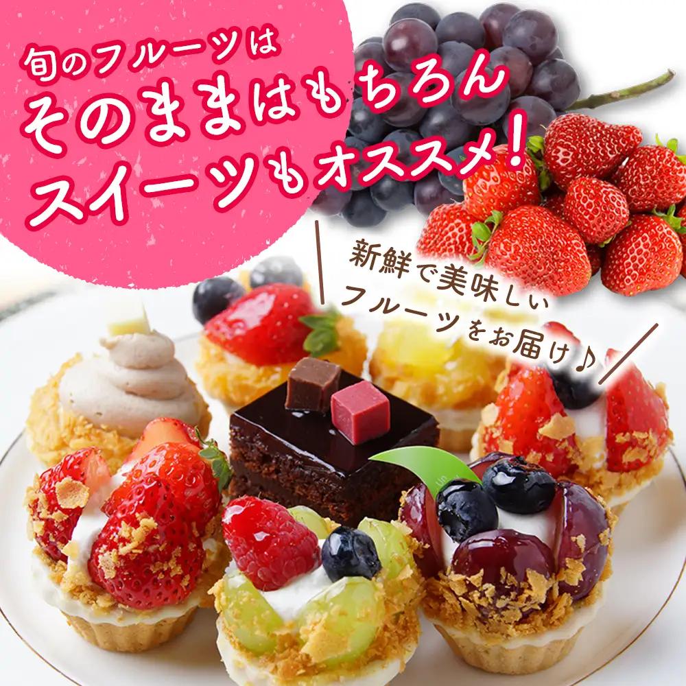 産地直送！旬の野菜・フルーツ＆野菜加工品 セット 3か月定期便 おまかせ 詰合せ 宮崎県新富町産 E215-2608