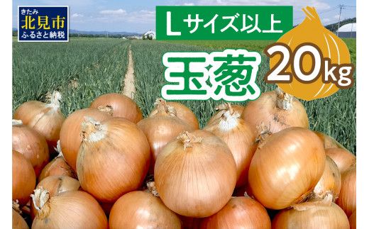【予約：2025年11月から順次発送】玉葱 20kg Lサイズ以上 ( 玉ねぎ たまねぎ 野菜 20キロ 期間限定 ふるさと納税 玉ねぎ生産量日本一 北見市産 )【148-0007-2025】