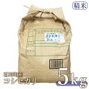 【ふるさと納税】【令和6年産米】石川町産 コシヒカリ（精米）5kg【沖縄・離島配送不可】【0501401】