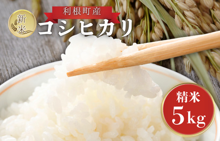 利根町産　コシヒカリ　精米　5kg ／ 米 こめ コメ お米 おこめ コシヒカリ こしひかり 令和7年産 精米 白米 ごはん ご飯 5kg 茨城県 利根町 産地直送 送料無料