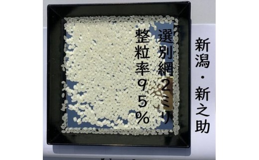 【令和8年産新米】 新潟県産「新之助」 白米 30kg（5kg×6袋） 阿賀野市産 中島農場 精米 新潟県 米 こめ コメ お米 ごはん ご飯 農家直送 色彩選別済 新米 新米予約 令和8年産 9月下