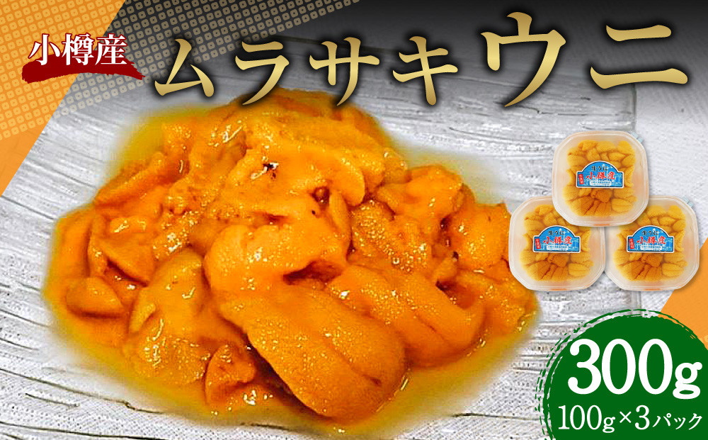 小樽産 ムラサキウニ （塩水生ウニ） 100g×3パック 合計300g 【2027年5月下旬-8月下旬 発送予定】 紫雲丹 紫ウニ 紫うに ウニ うに 雲丹 塩水生うに 生ウニ 刺し身 刺身 海鮮丼 魚介類 海産物 冷蔵