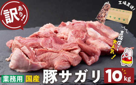 【訳あり】希少部位！！国産豚サガリ(5kg×2P 計10kg) 国産 豚肉 豚肉 豚 肉 冷凍 5kg 訳あり 業務用 サガリ つまみ おつまみ 炒め物 焼肉 BBQ 赤身 カレー シチュー 煮込み ハラミ c0-136