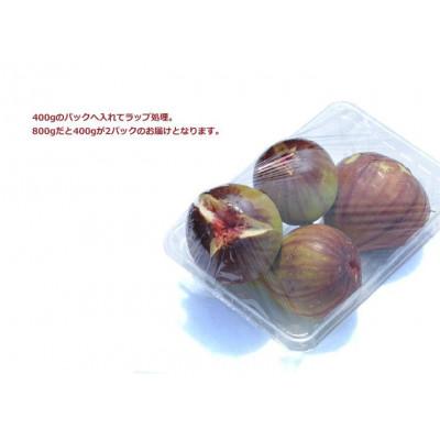 ふるさと納税 和歌山市 和歌山産 いちじく 秀品1.6kg(400g ×4パック) |  | 01