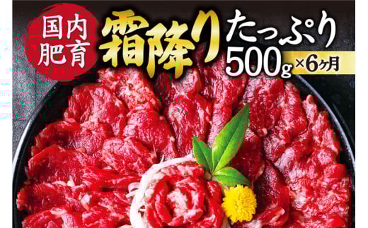 【6ヶ月定期便】【ふるさと納税】 熊本馬刺し 霜降りたっぷり500g （50g×10パック） 専用醤油付き