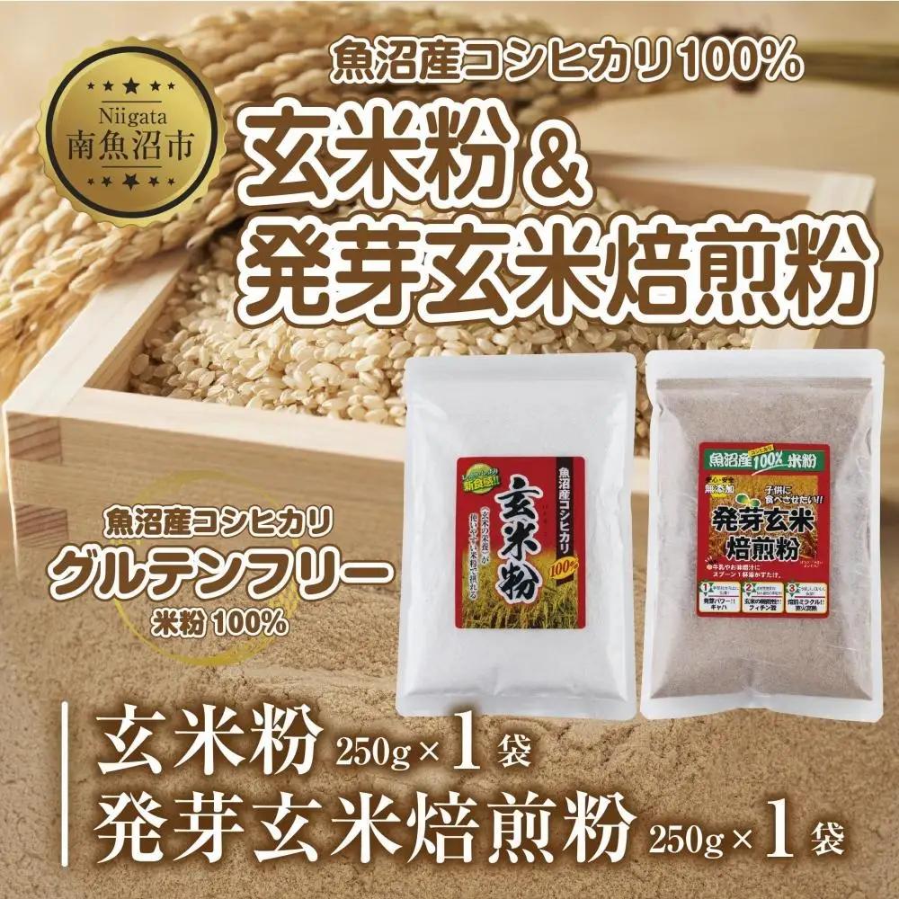 新潟県産 玄米粉 発芽玄米焙煎粉 セット 各250g 計500g 魚沼産 コシヒカリ 玄米 アレルギー グルテンフリー GABA 米粉 お取り寄せ お菓子 パン作り 製菓 コパフーズ 新潟県 南魚沼市｜こしひかり