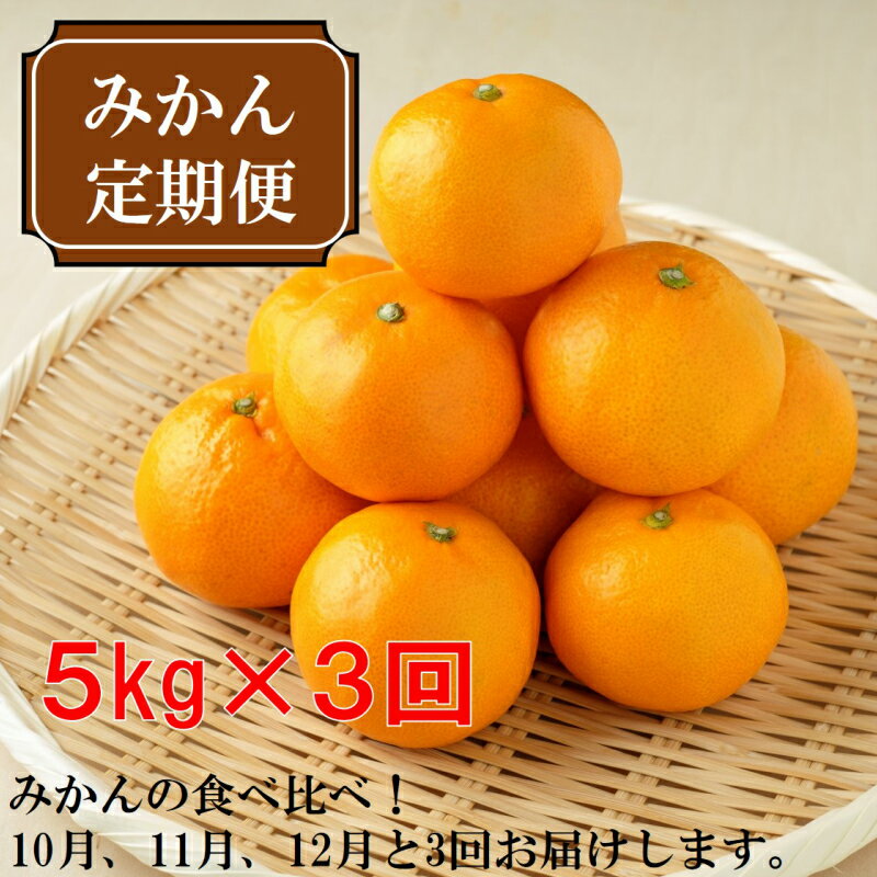 【ふるさと納税】厳選みかん定期便　約5kg　3回（10月、11月、12月）
