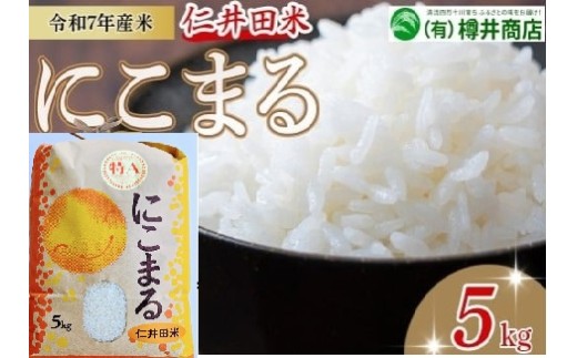 特A【令和7年産米】仁井田米「にこまる」（5kg）Bti-Y09／ お米 おこめ コメ ブランド米 ご飯 お歳暮 お中元 御年賀 お取り寄せ  農家 こだわり
