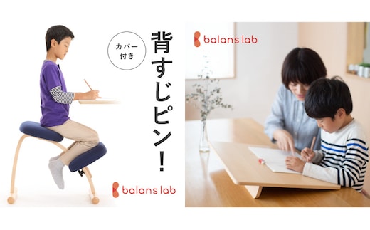 
										
										バランス イージー(カバー付き)とイージーライティングボードMのセットショートLブルー+Sブルー
									