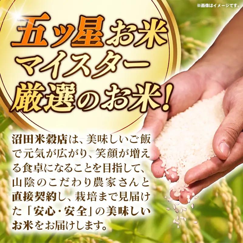 【定期便】五ツ星お米マイスター厳選 能義平野のきぬむすめ 5kg×12ヵ月 【令和7年産 ５KG 12ヶ月 毎月 計60kg 精米 白米 ご飯 お米 美味しい 安心 安全 沼田米穀店 島根県 安来市】