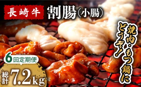 【6回定期便】長崎牛 割腸（小腸） 焼肉・ホルモン 鍋 用 1.2kg  / 鍋 なべ やきにく ホルモン 牛肉 もつ鍋 / 南島原市 / はなぶさ [SCN119]