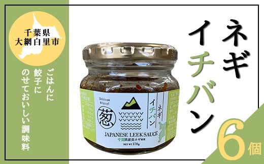 千葉県大網白里市産長ネギ使用★ネギイチバン★ 170g×6個セット ／ふるさと納税 長ネギ 長ねぎ 長葱 ネギ ねぎ 葱 調味料 千葉県 大網白里市 AV003