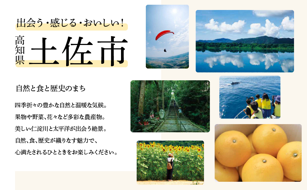 
A-40　かつおのハランボ
