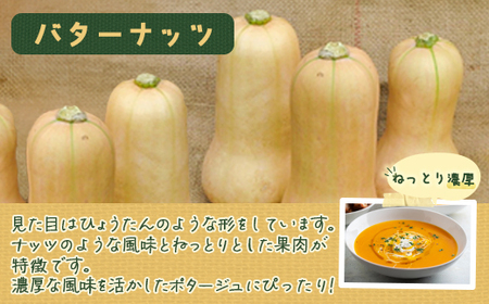 ミニかぼちゃのセット（4種） 約10kg バターナッツ プッチーニ 赤い坊ちゃん 坊ちゃん北海道 豊浦町産