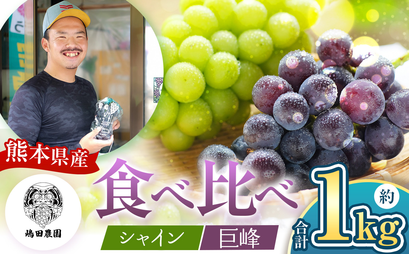 
            【 先行予約 】 シャインマスカット 巨峰 食べ比べセット 約1kg | 熊本県 和水町 くまもと なごみまち ぶどう 巨峰 マスカット シャインマスカット 食べ比べ セット 朝摘み 直送
          