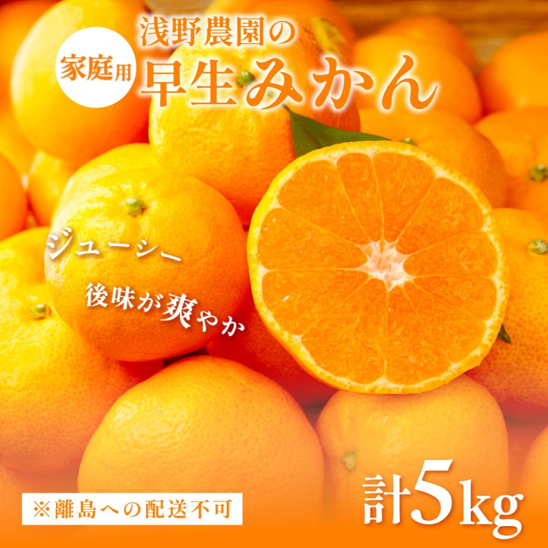 【先行予約】浅野農園の早生みかん 家庭用計5kg ※着日指定不可 ※離島への配送不可（2026年11月上旬～11月中旬頃に順次発送予定）IKTAC002