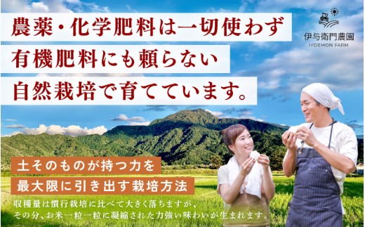 【先行予約】【令和8年産】定期便 ≪6ヶ月連続お届け≫ 伊与衛門農園の自然栽培米 コシヒカリ 自然栽培米コシヒカリ うまみ玄米 5kg×6回（計30kg）＜温度と湿度を常時管理し新鮮米を出荷！＞ 米 