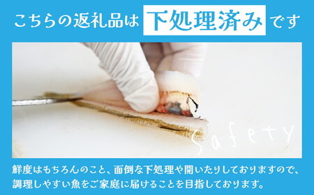 鮮度抜群！お魚おまかせ食べきり６パック・下処理加工してあるので解凍してすぐに調理できます。 ※着日指定不可 ※北海道・沖縄・離島への配送不可◇