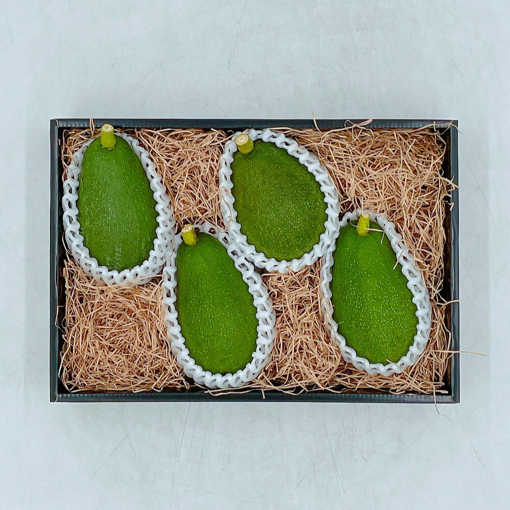 【ふるさと納税】【11月上旬から発送】 松山市産 アボカド 1.1kg 愛媛県産フルーツ 果物 愛媛県 松山市 （ サラダ 料理 果物 ヘルシー アボガド サラダ ダイエット ミネラル 森のバター 栄養 国産 愛媛 松山 ）