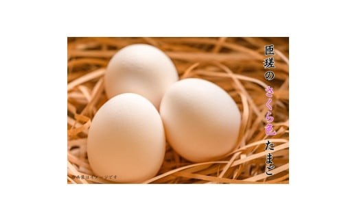 匝瑳の“さくら色”たまご　Lサイズ　贈答用80個 ／ 卵 タマゴ 玉子 たまご さくら色たまご 新鮮 千葉県 匝瑳市 送料無料 80個