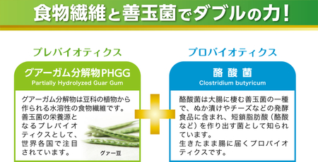 ＜定期便＞TVで話題！ グアーガム分解物 生きて腸内まで届く 酪酸菌 水溶性食物繊維 サンファイバープラス【スティック】6ｇ×30包 【2箱セット定期便6ヶ月】【発酵性食物繊維 食物繊維 シンバイオテ