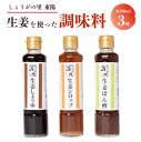 【ふるさと納税】しょうがの里東陽 生姜を使った 調味料 3本 セット (190ml×3種) 詰め合わせ ショウガ 生姜シロップ 生姜ポン酢 生姜しょうゆ 鍋 熊本県 八代市 送料無料