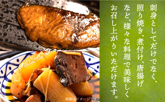 【全6回定期便】ヒラマサ半身 お刺身ブロック 2枚 （1尾分） 刺身 フィレ ヒラマサ 定期便 [JDT043] 324000 324000円