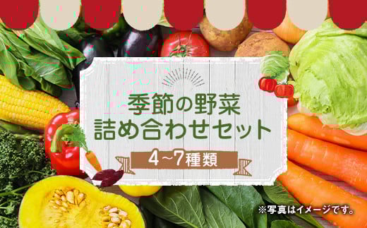 
季節の野菜 詰め合わせ セット 4～7種 旬の野菜 季節 野菜
