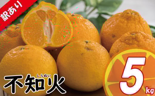 【先行予約】 訳あり みかん 不知火 しらぬい 約2kg / 約5kg | デコポン でこぽん と同品種 みかん ミカン 蜜柑 愛媛みかん 愛媛ミカン 果物 くだもの フルーツ 家庭用 国産 産地直送 お取り寄せ 愛媛県産 2026年3月中旬頃より発送予定 愛媛県 松山市