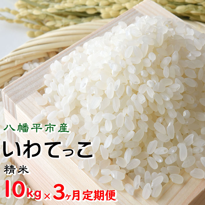 【令和7年産】 新米 11月中旬発送開始予定 いわてっこ 精米 10kg×3ヶ月 定期便 ／ せの畑 こめ 米 コメ お米 おこめ ご飯 ごはん 白米 白飯