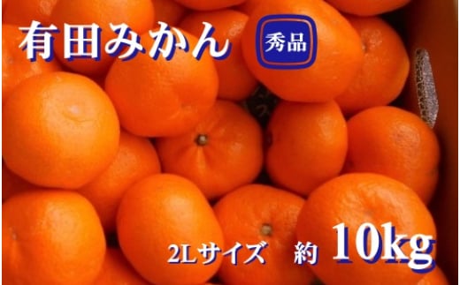 
紀州有田みかん 秀品 約10kg　２Lサイズ　※2024年11月下旬頃より順次発送予定【sml129】
