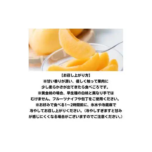 家庭用 黄金桃 3玉 大玉 約900g 岡山県産【先行予約 2026年8月下旬から順次発送】